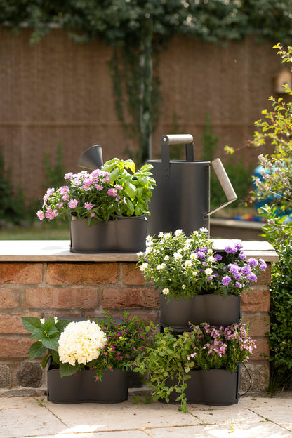  BoQube Flexi Garden Anthrazit