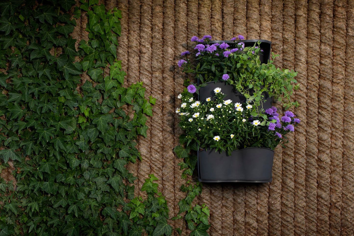  BoQube Flexi Garden Anthrazit