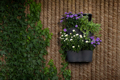  BoQube Flexi Garden Anthrazit