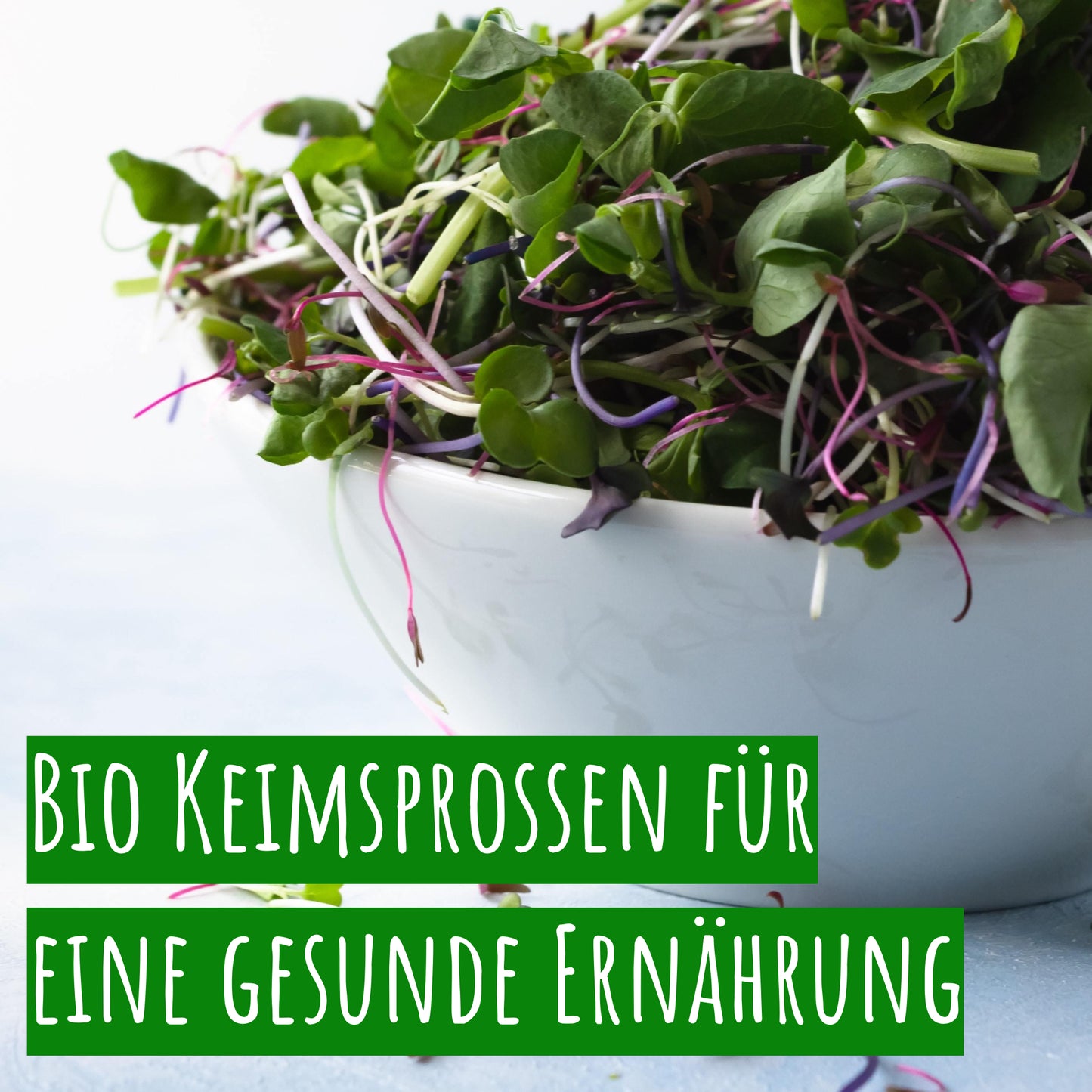  BIO Keimsprossen Kresse (500 G)