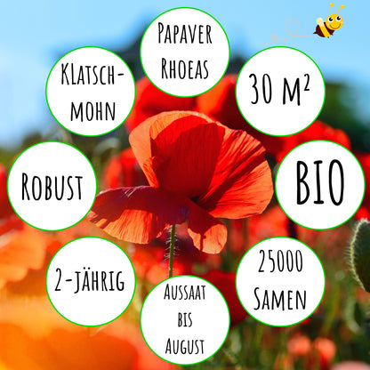  Mohnwiese Klatschmohn (3 G)