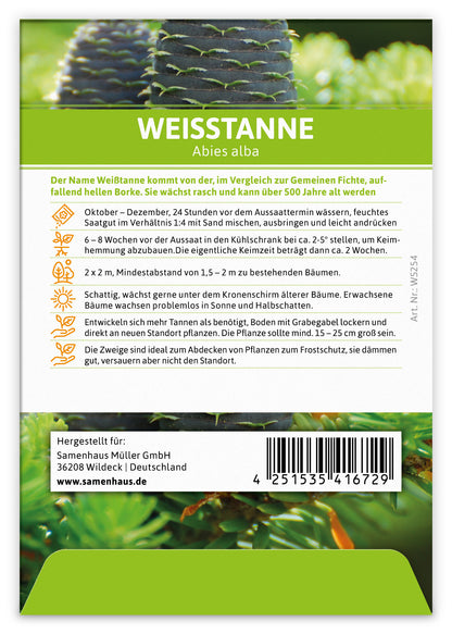  Weißtanne (Regionale Sorte Schwarzwald) (100 Tütchen)