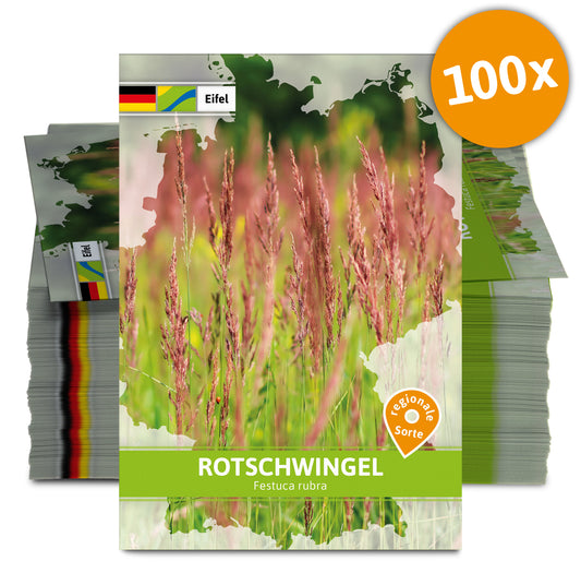  Rotschwingel (Regionale Sorte Eifel) (100 Tütchen)