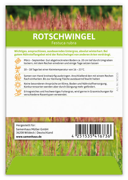  Rotschwingel (Regionale Sorte Eifel) (100 Tütchen)