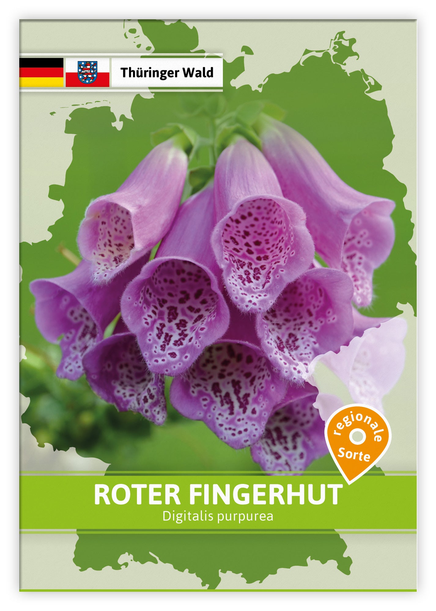  Roter Fingerhut (Regionale Sorte Thüringer Wald) (100 Tütchen)