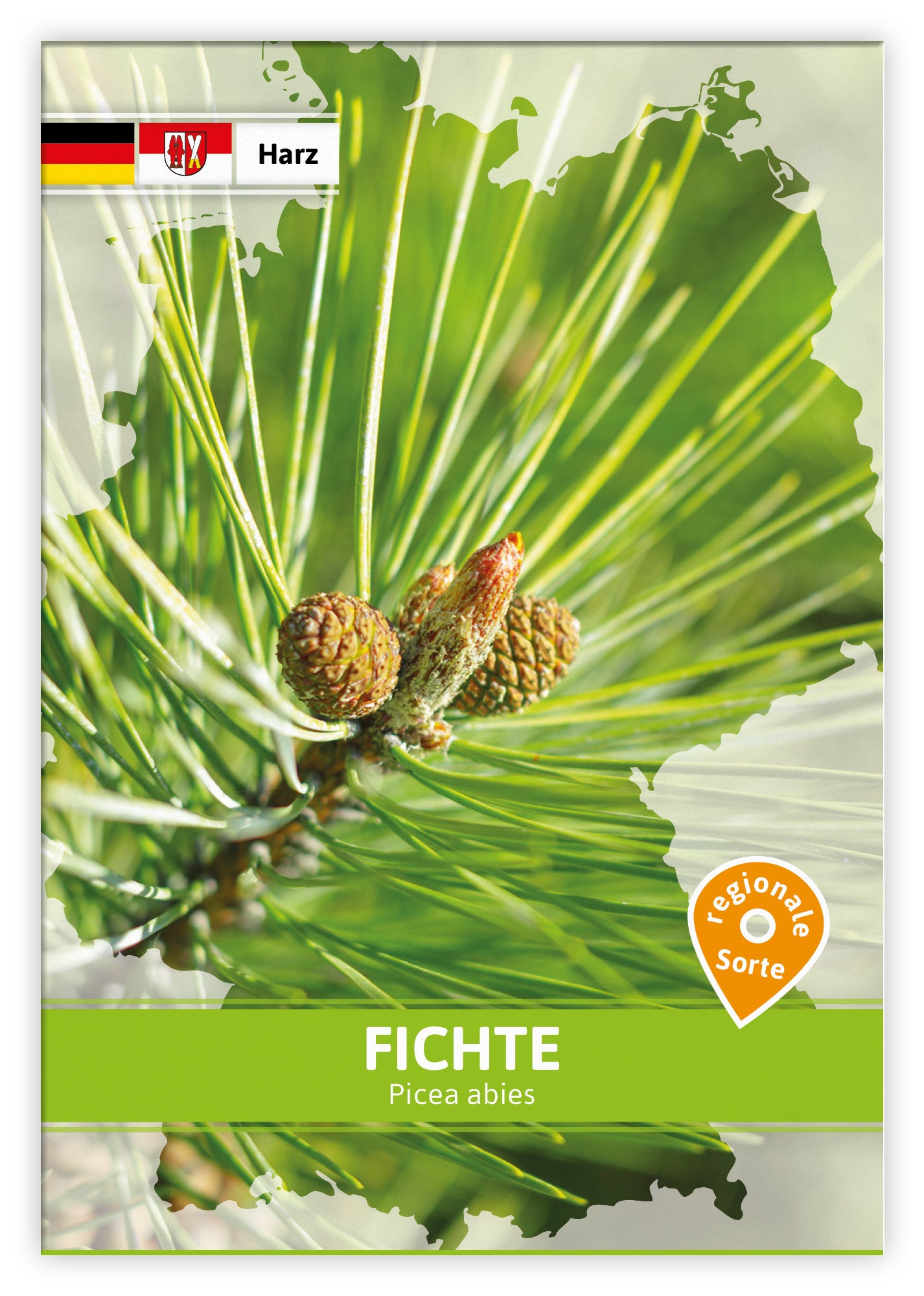  Fichte (Regionale Sorte Harz) (100 Tütchen)