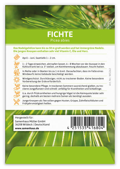  Fichte (Regionale Sorte Harz) (100 Tütchen)
