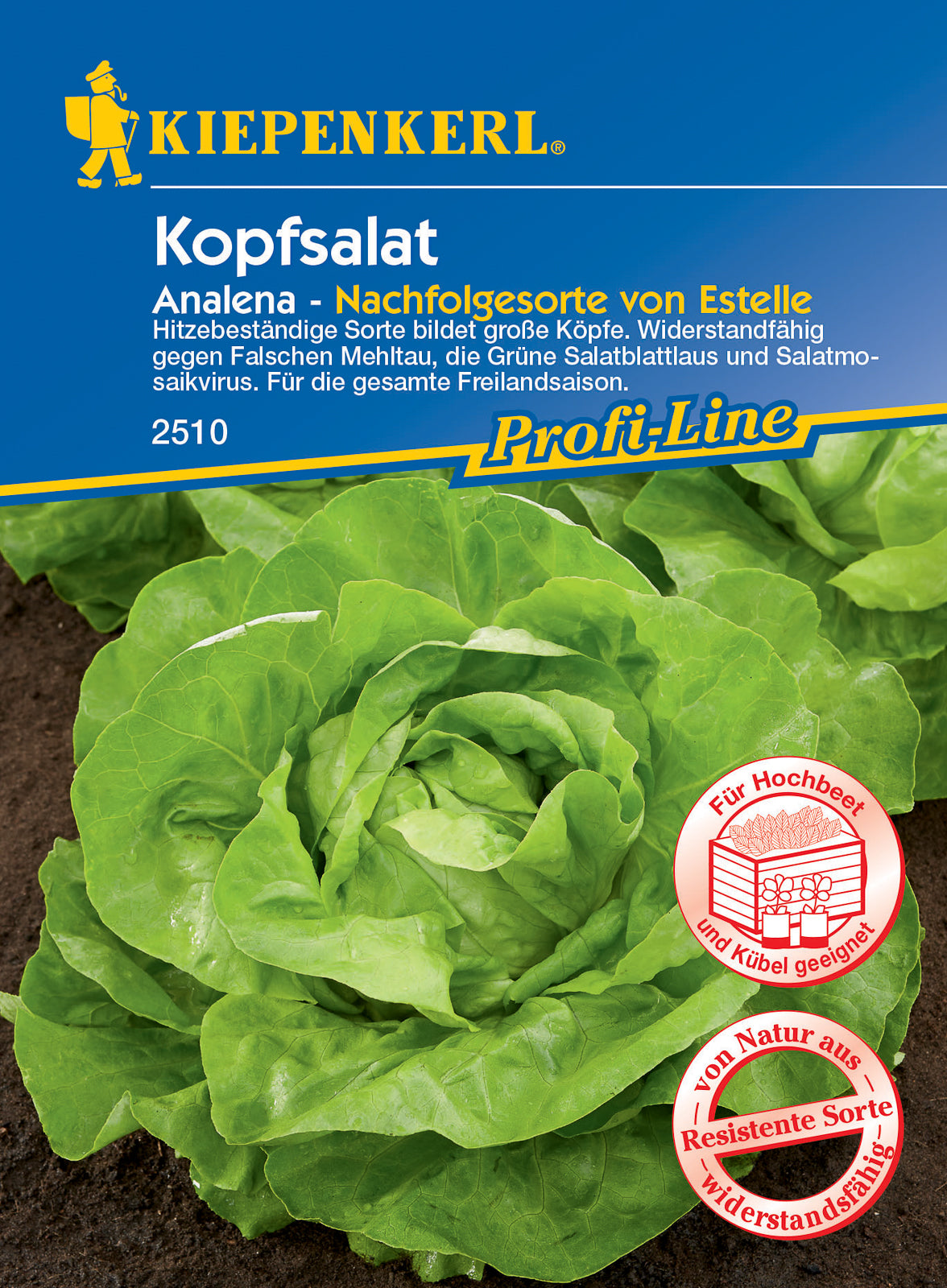  Kopfsalat Analena [MHD 01/2026]