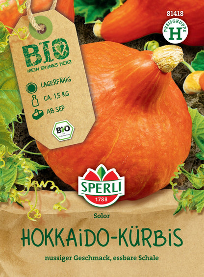  Kürbis Solor F1