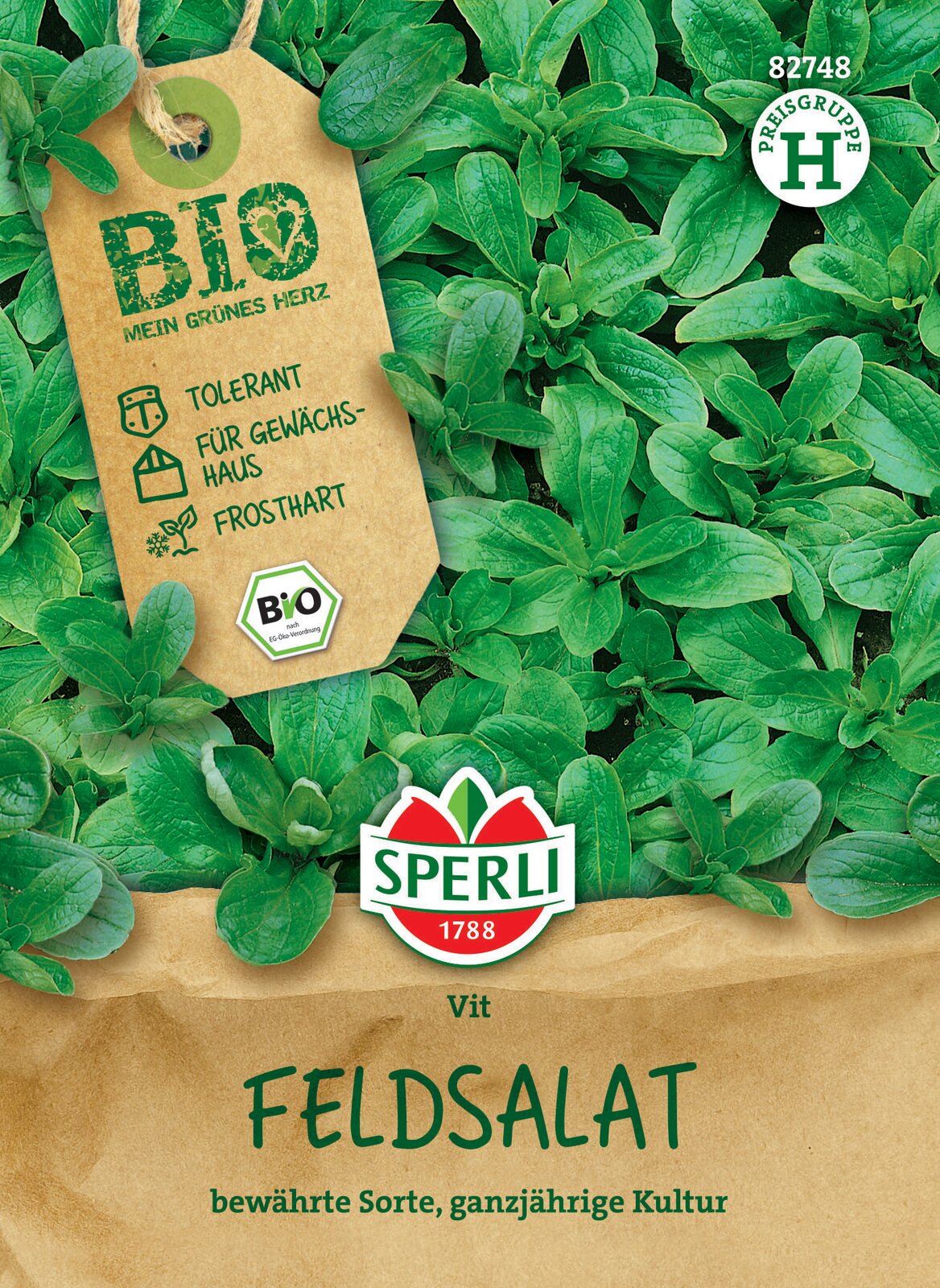  Feldsalat Vit