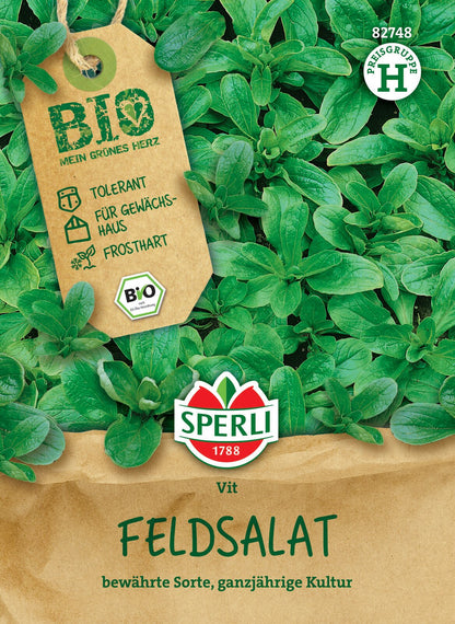  Feldsalat Vit
