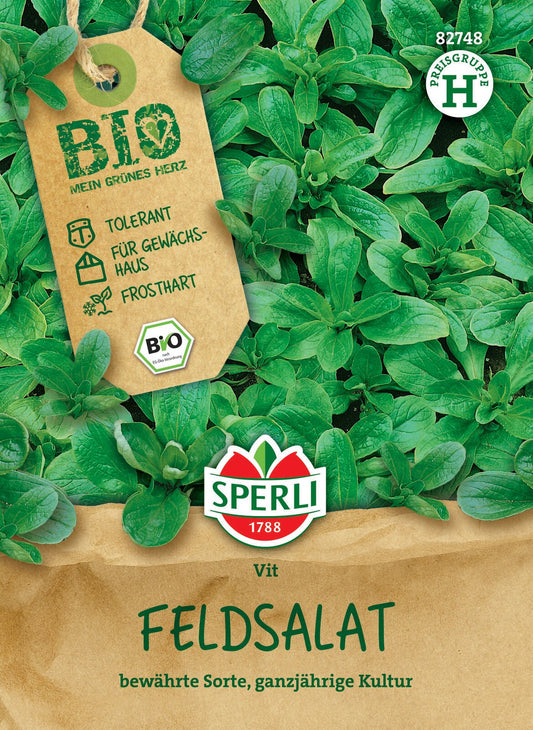  Feldsalat Vit