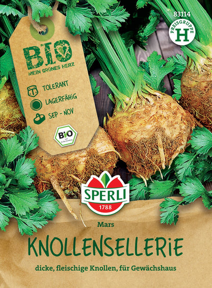  Knollensellerie Mars