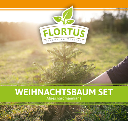 Weihnachtsbaum Set