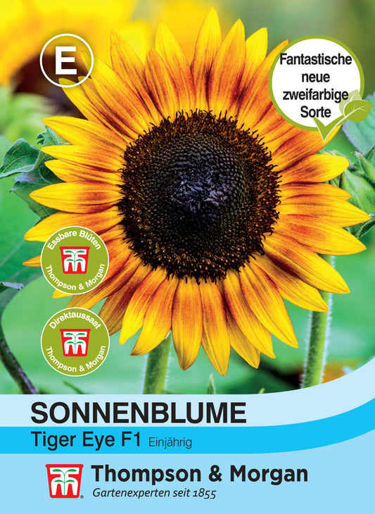  Sonnenblume Tiger Eye F1