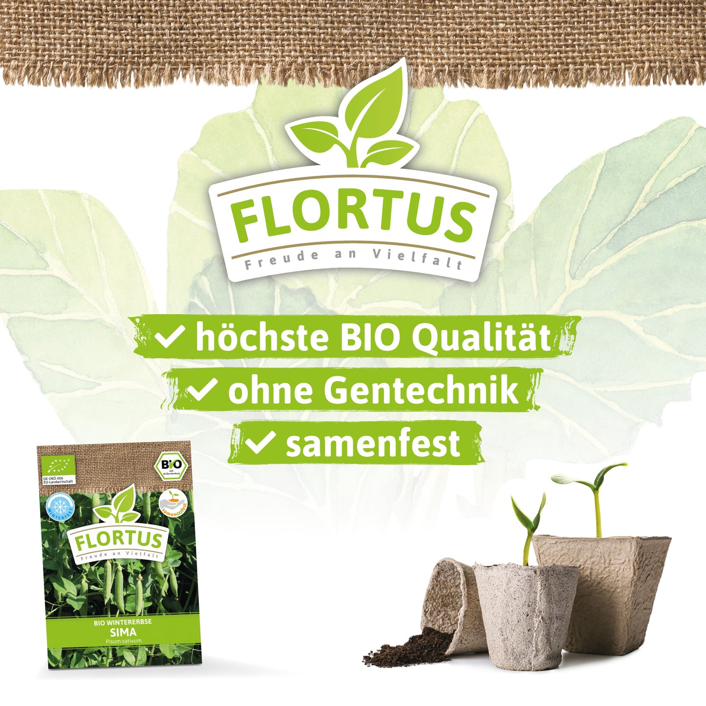  BIO Wintererbse Sima