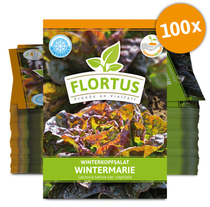  Winterkopfsalat Wintermarie (100 Tütchen)