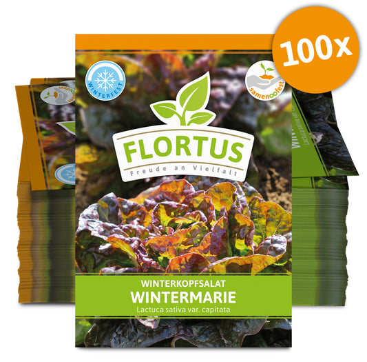  Winterkopfsalat Wintermarie (100 Tütchen)
