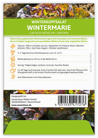  Winterkopfsalat Wintermarie (100 Tütchen)