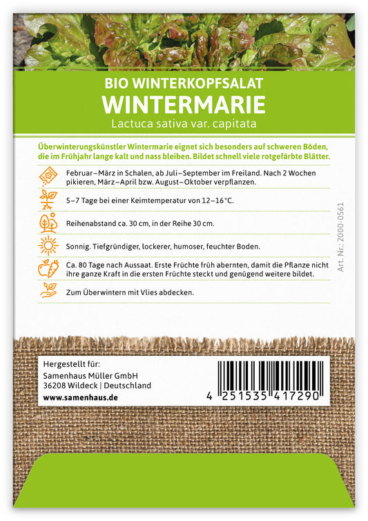  BIO Winterkopfsalat Wintermarie