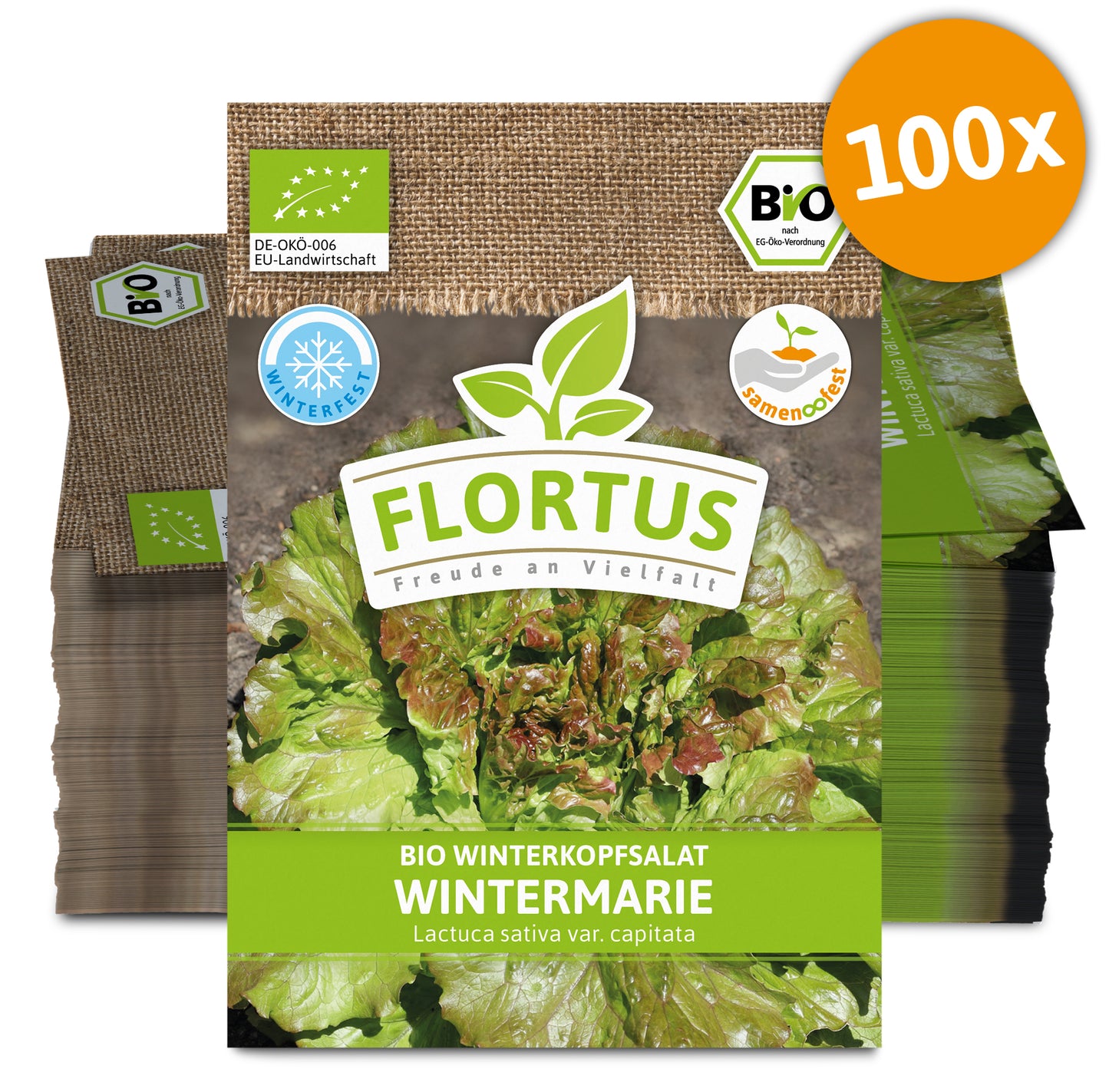  BIO Winterkopfsalat Wintermarie (100 Tütchen)