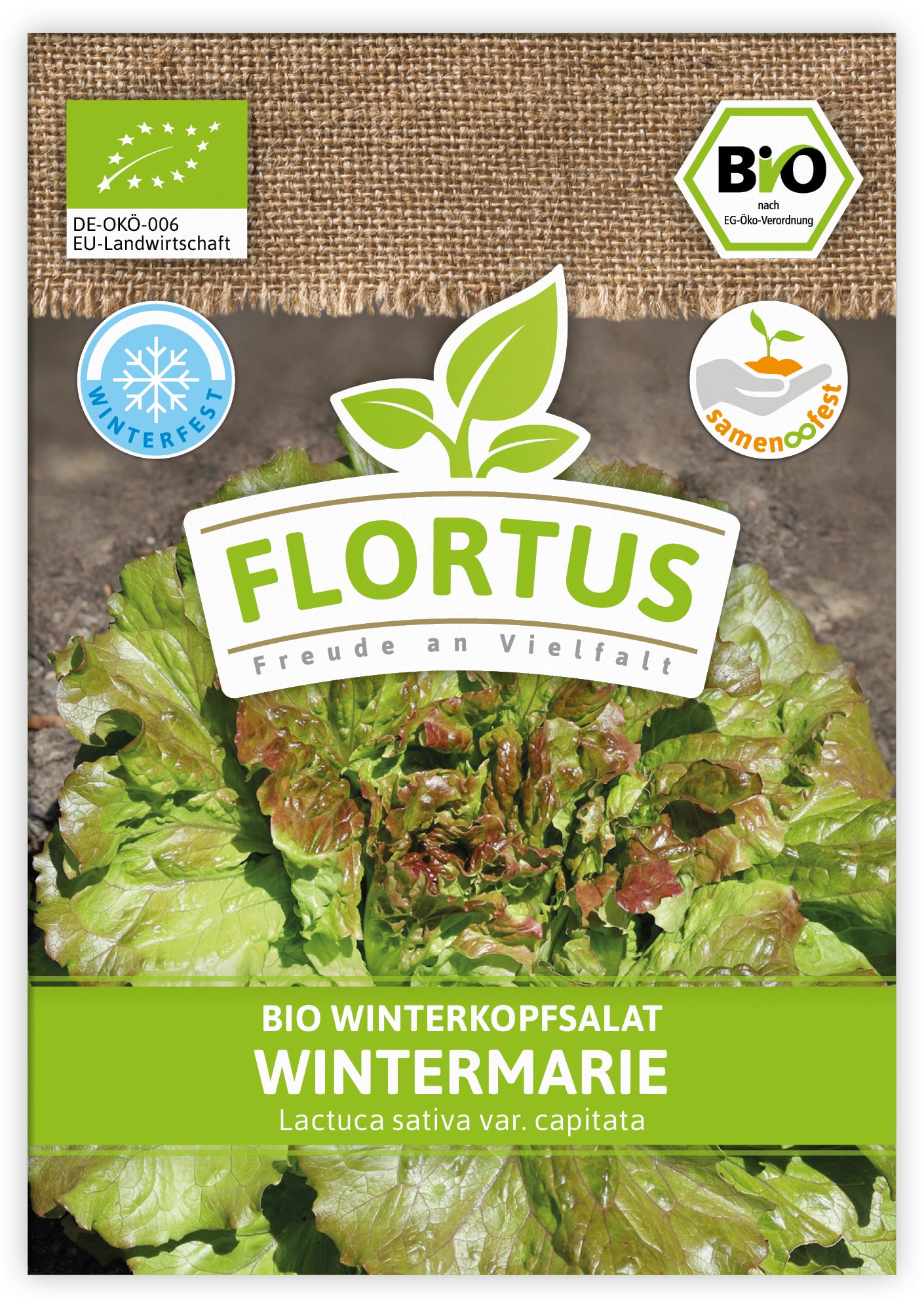  BIO Winterkopfsalat Wintermarie (100 Tütchen)