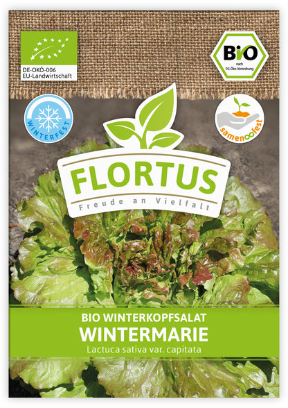  BIO Winterkopfsalat Wintermarie (100 Tütchen)
