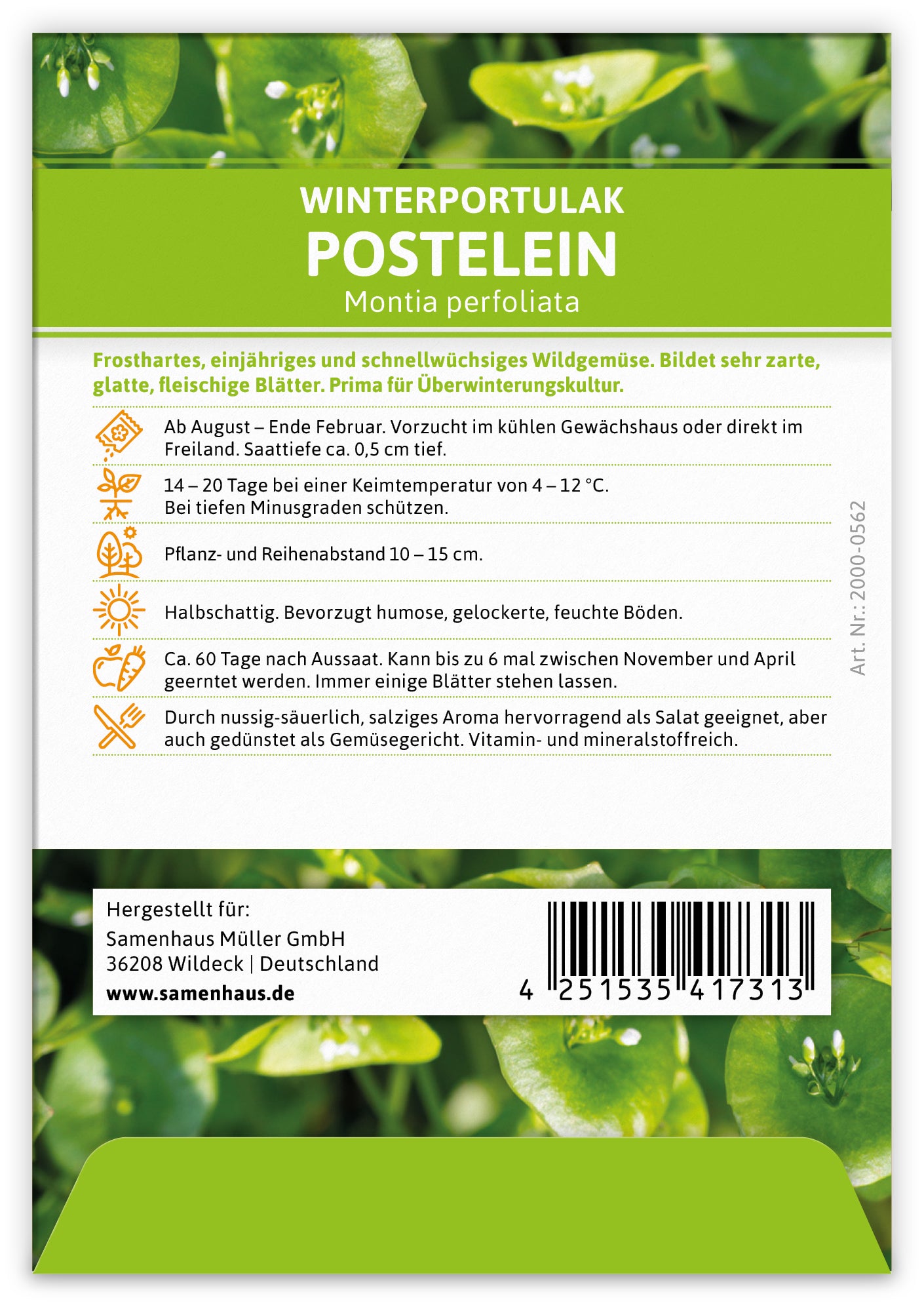  Winterportulak Postelein