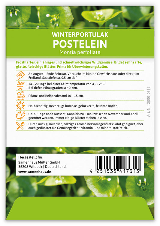  Winterportulak Postelein