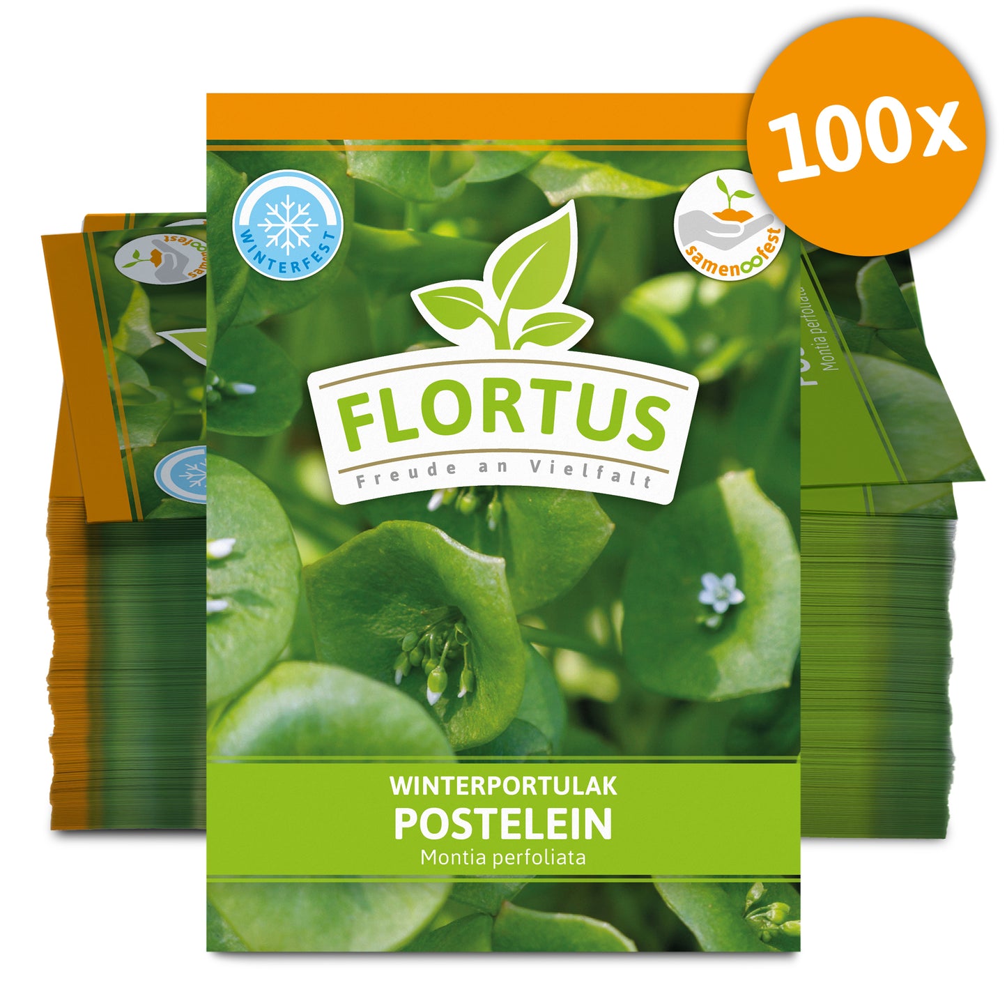  Winterportulak Postelein (100 Tütchen)