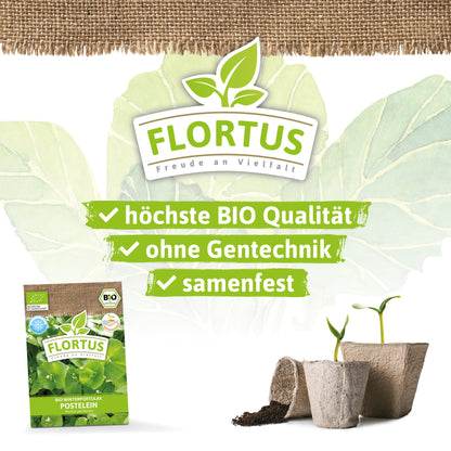  BIO Winterportulak Postelein