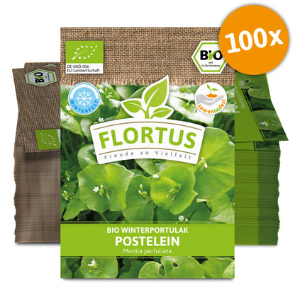  BIO Winterportulak Postelein (100 Tütchen)