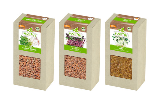  BIO Keimsprossen Set "Scharf" Mit 3 Sorten (600 G)