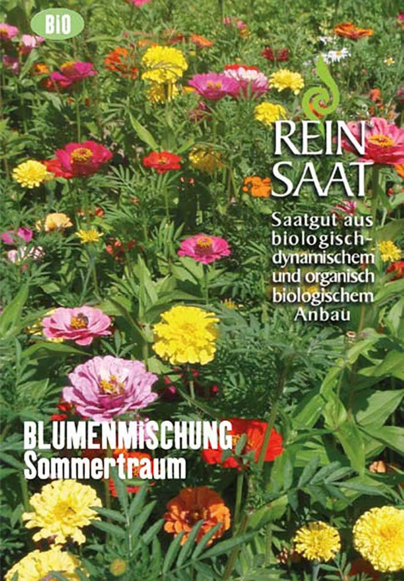  BIO Sommertraum [MHD 12/2024]