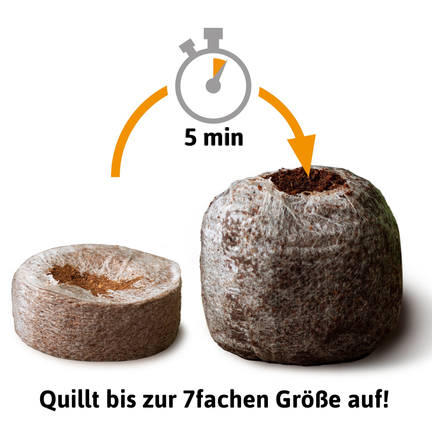  Kokos Quelltöpfe 36 Mm
