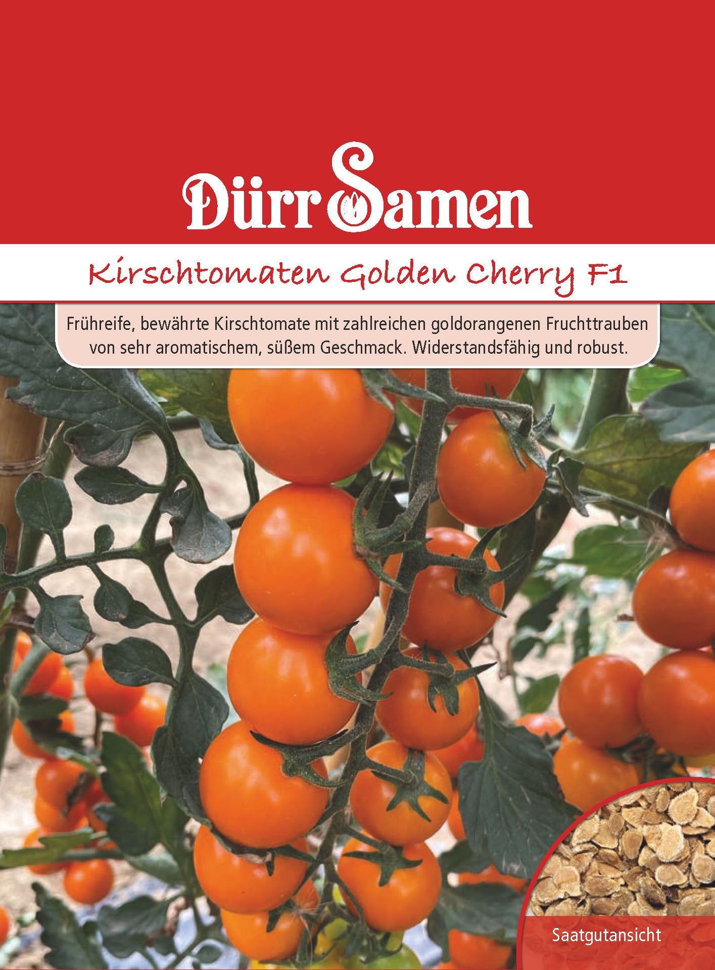  Kirschtomaten Golden Cherry F1