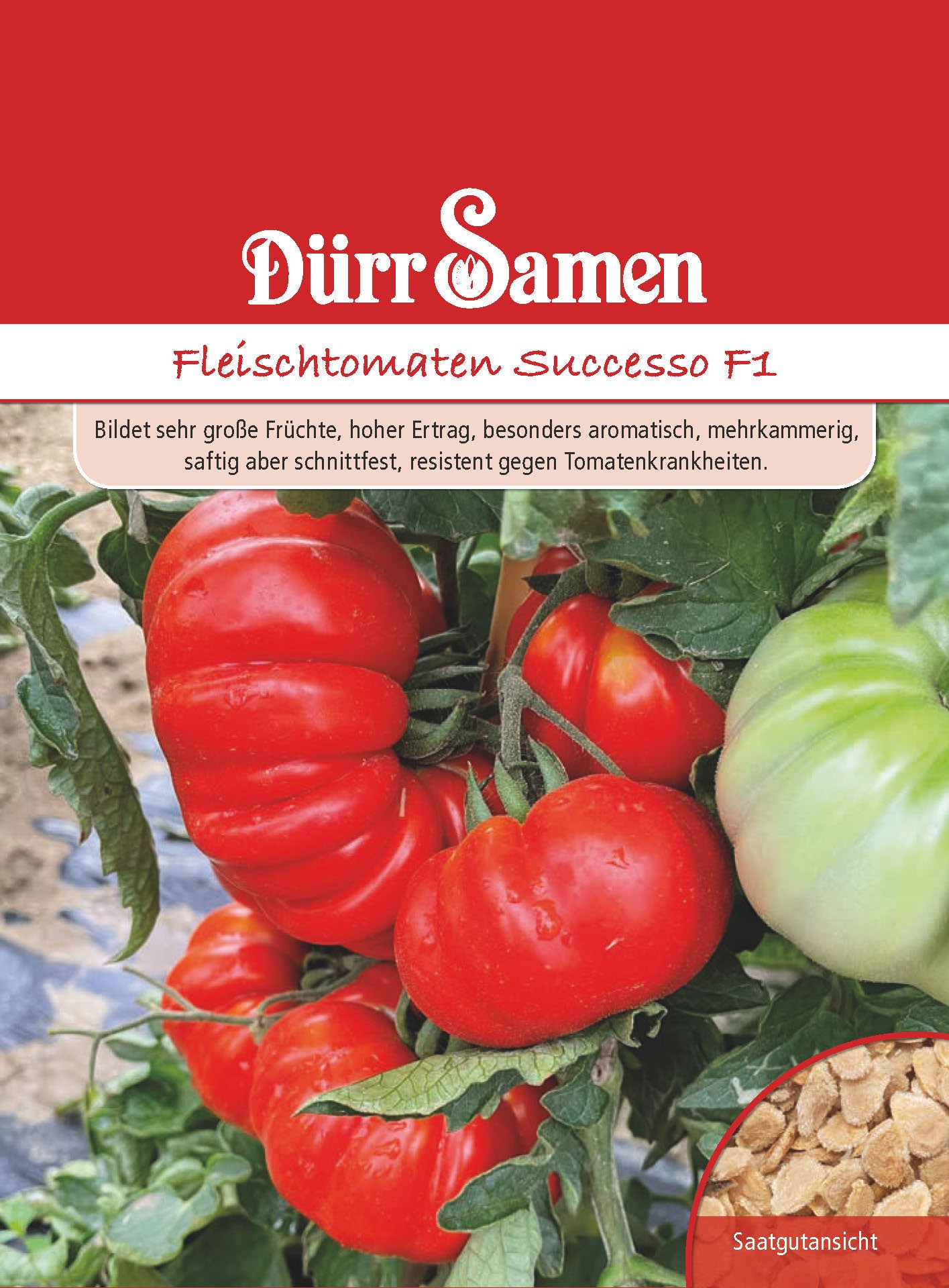  Fleischtomaten Successo F1