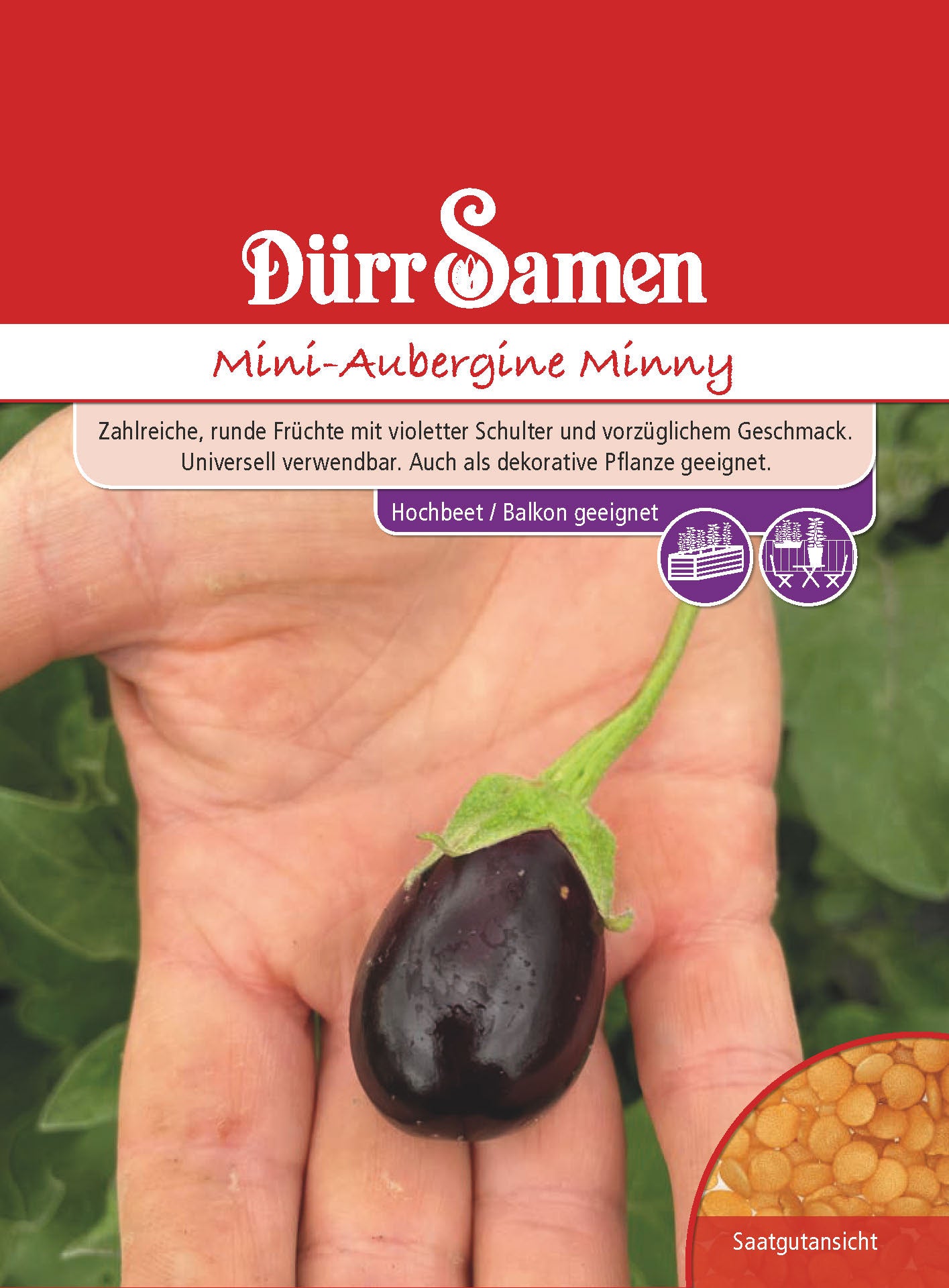  Mini Aubergine Minny