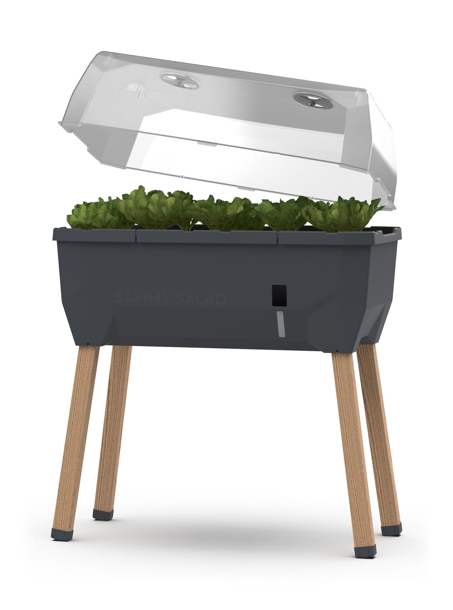  SAMMY SALAD Hochbeet Anthrazit