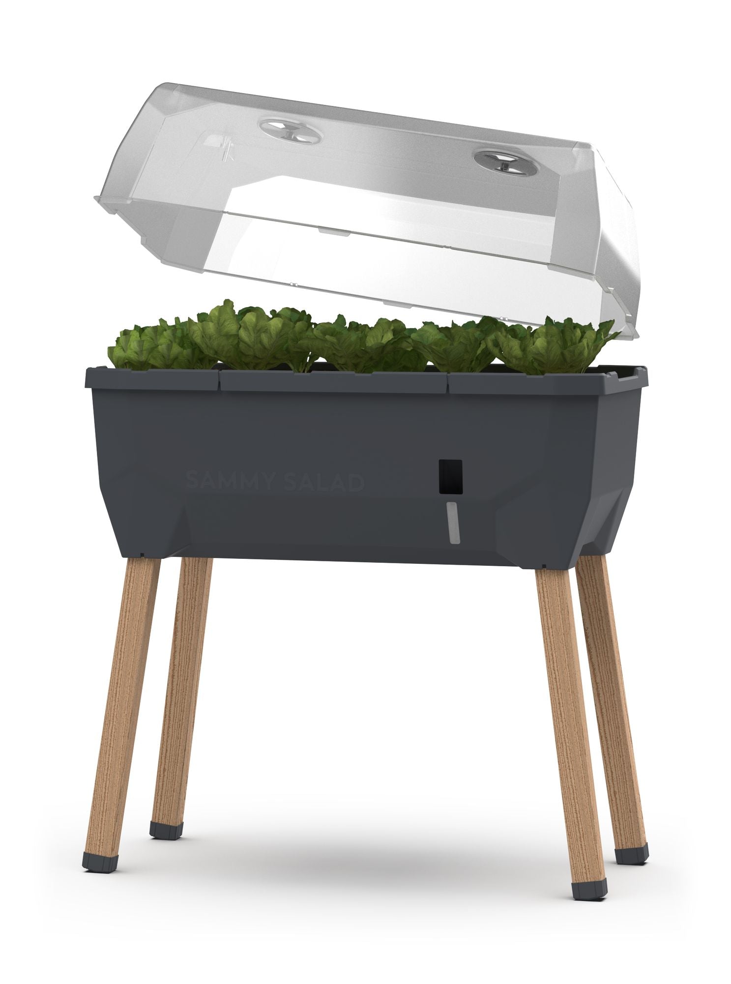  SAMMY SALAD Hochbeet Anthrazit