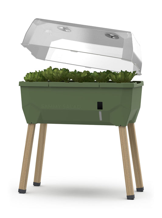  SAMMY SALAD Hochbeet Dunkelgrün