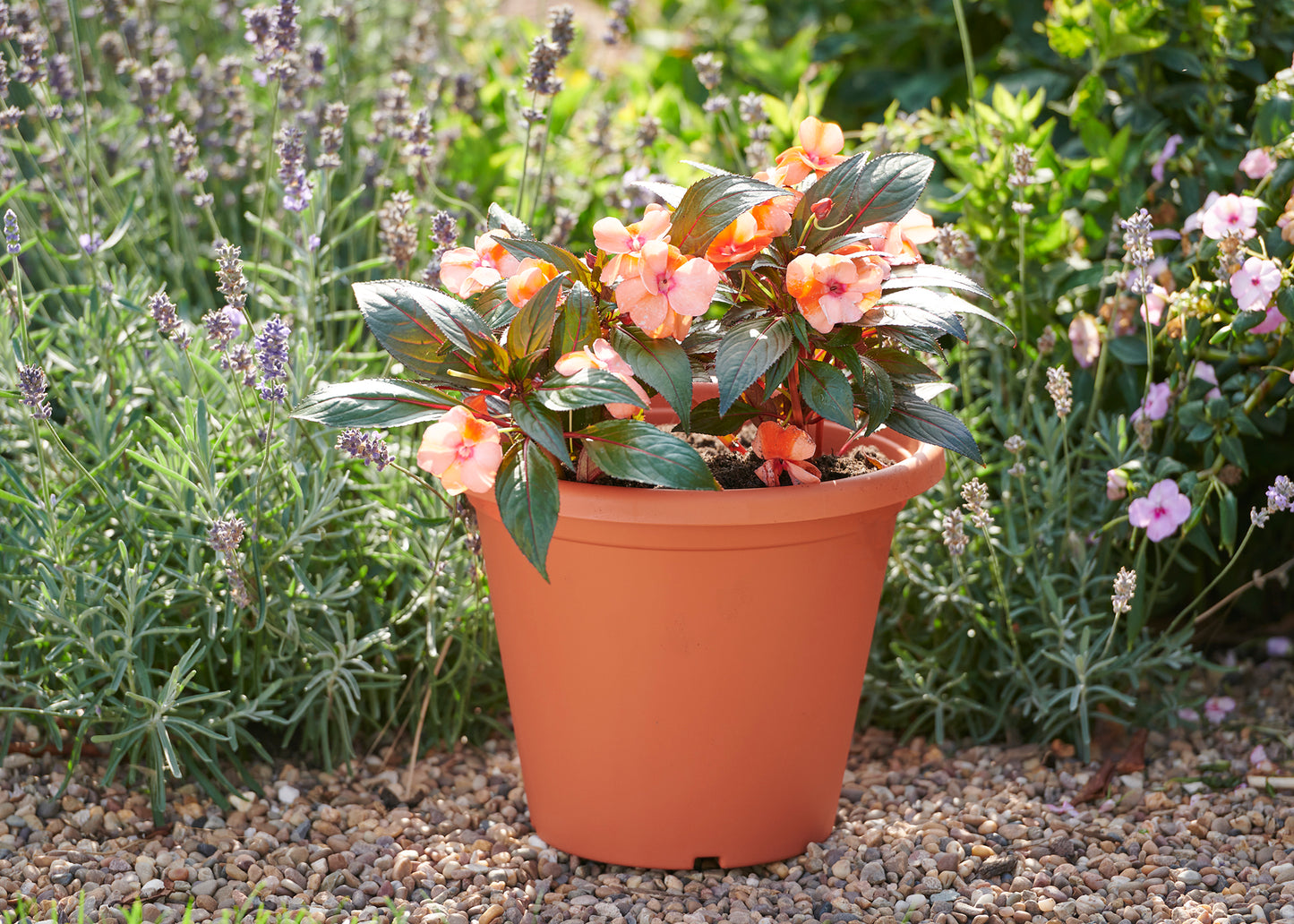  30 Cm Blumentopf Rund Terrakotta