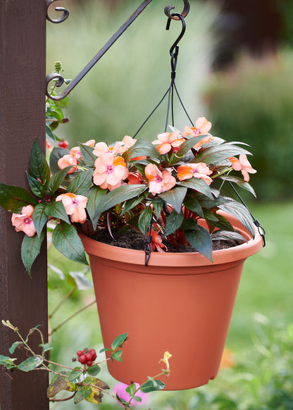  Aufhänger Für 30 Cm Blumentopf