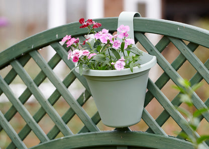  Hängeblumentopf Salbei