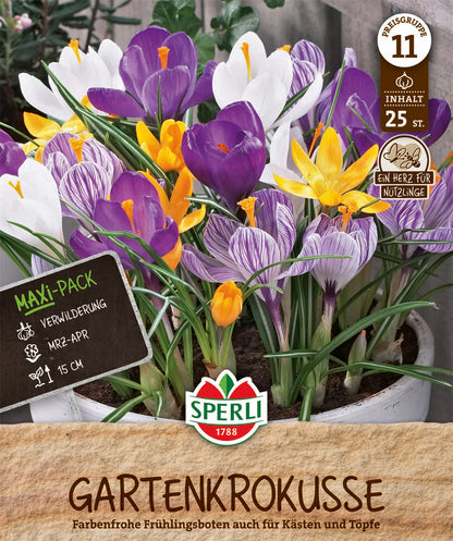  Gartenkrokus Mix (25 Stück)