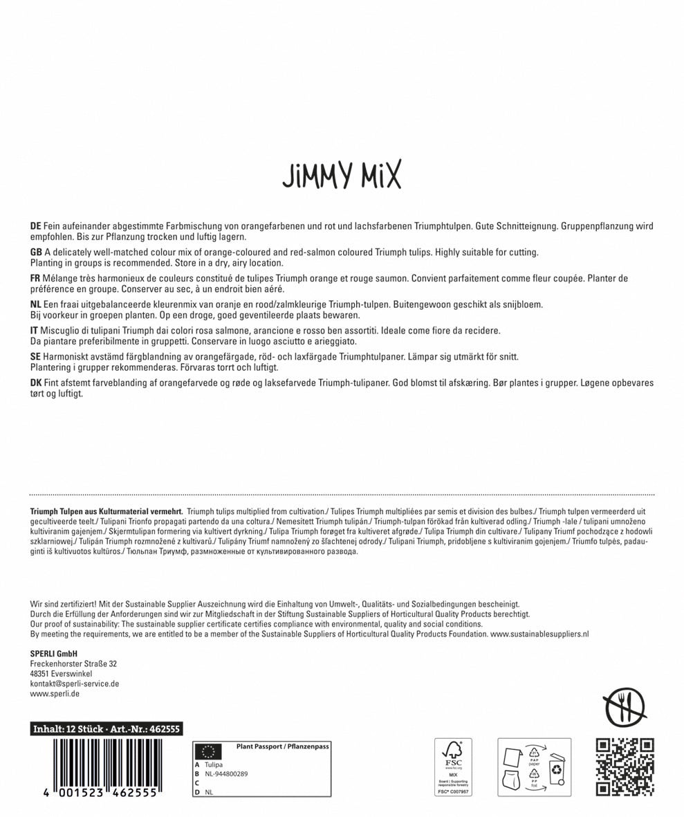  Tulpe Jimmy Mix (12 Stück)