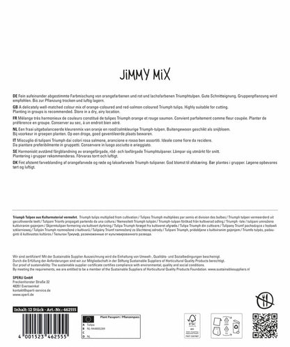  Tulpe Jimmy Mix (12 Stück)