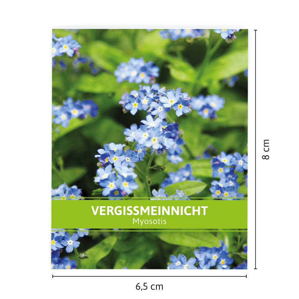  Vergissmeinnicht Für Werbezwecke (500 Stück)
