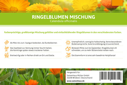  Ringelblumen Mischung