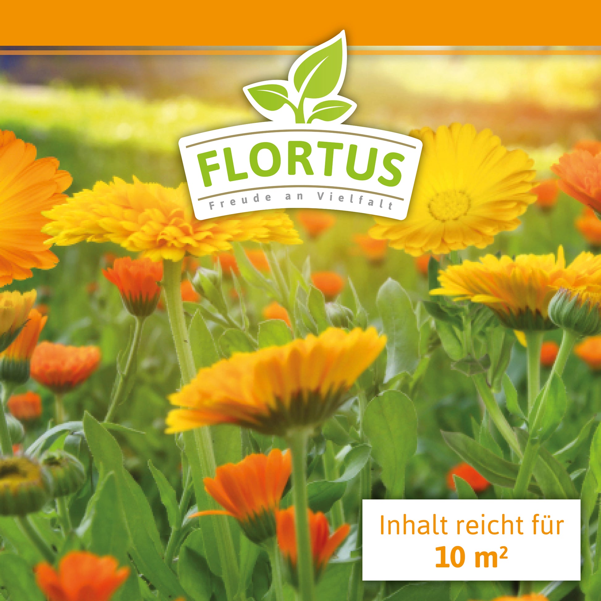  Ringelblumen Mischung